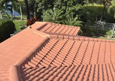 Affordable Roof and Window Cleaning Service