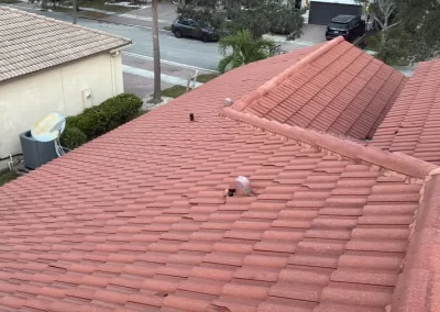 Local Roof and Window Cleaning Service