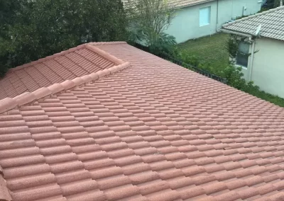 Professional Roof and Window Cleaning Service