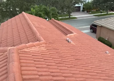 Roof and Window Cleaning Service