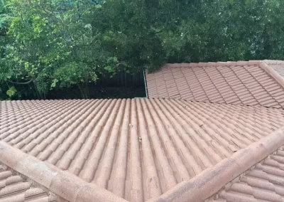 Trusted Roof and Window Cleaning Service