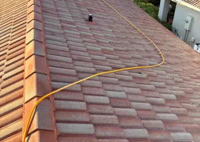 Professional Window Washing Services