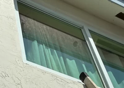 Professional Window Washing Services